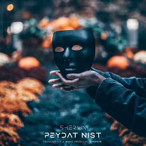 دانلود آهنگ شروین حاجی آقاپور پیدات نیست 1 Shervin Hajipour Peydat Nist